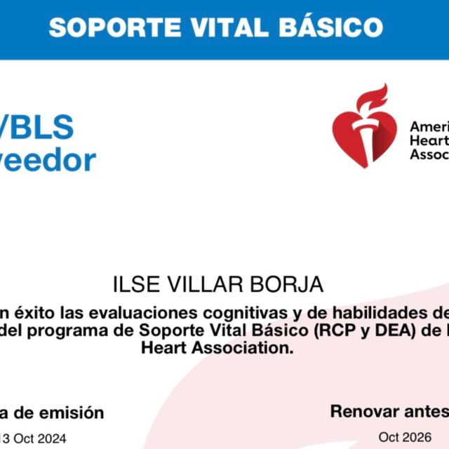 Ampliar imagen: certificate 3