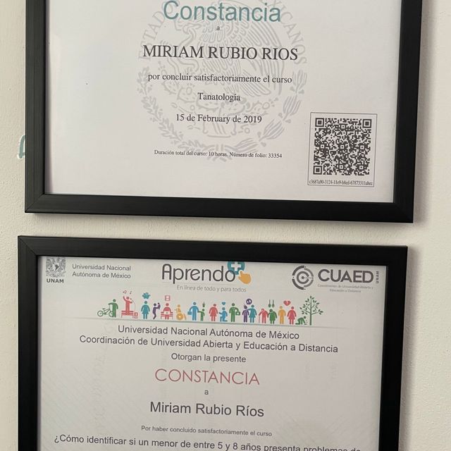 Ampliar imagen: certificate 7