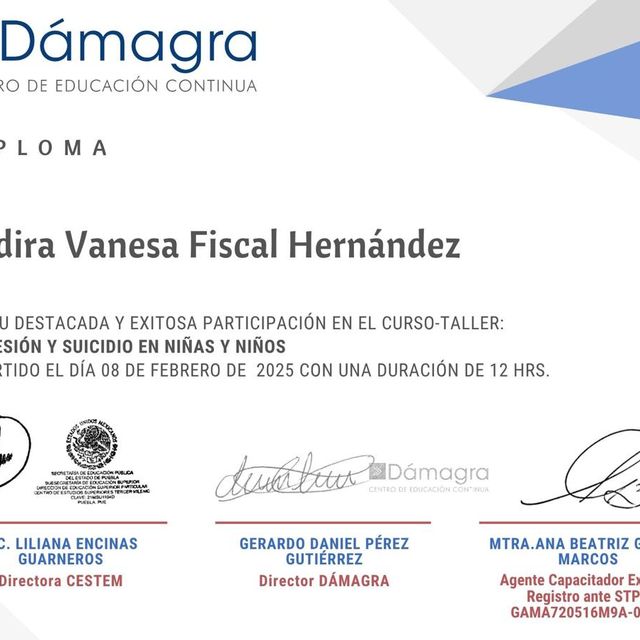 Ampliar imagen: certificate 7