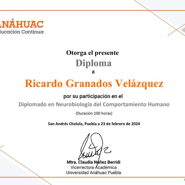 Ampliar imagen: certificate 6