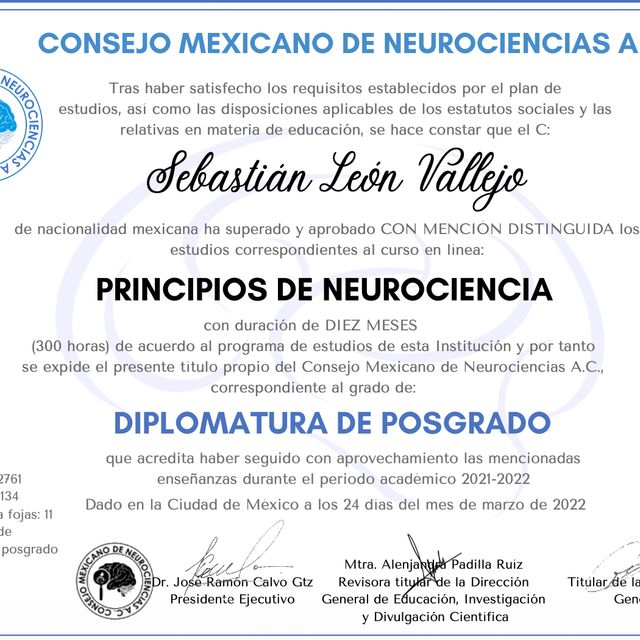 Ampliar imagen: certificate 8