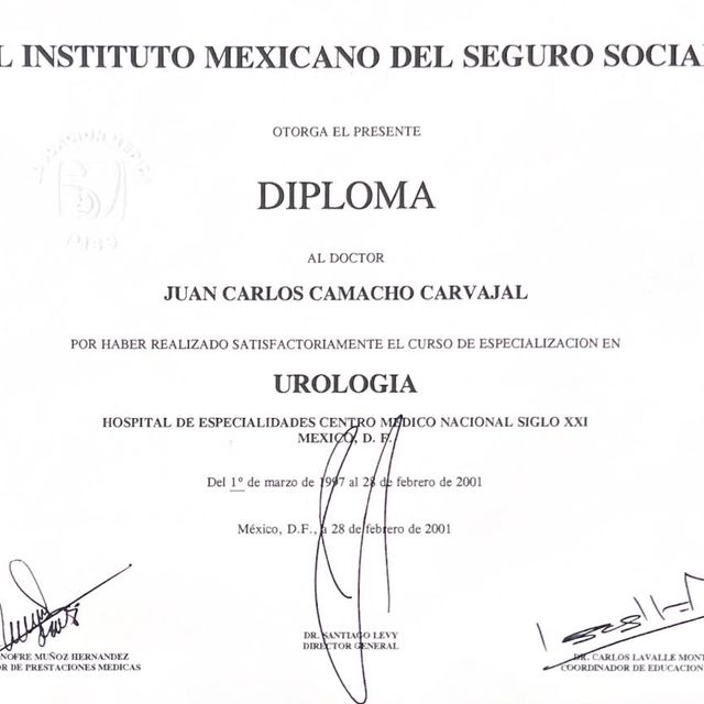Ampliar imagen: certificate 4