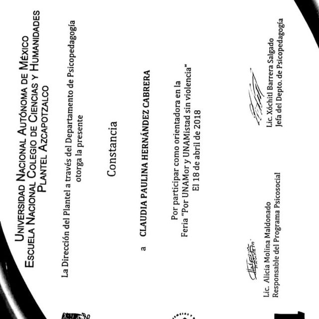Ampliar imagen: certificate 5