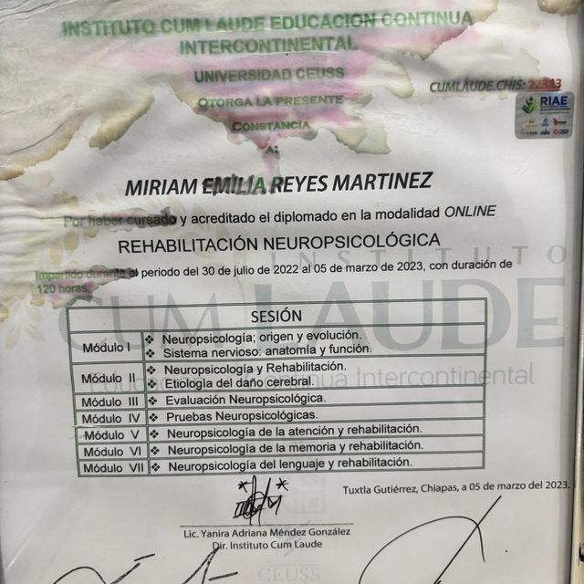 Ampliar imagen: certificate 23