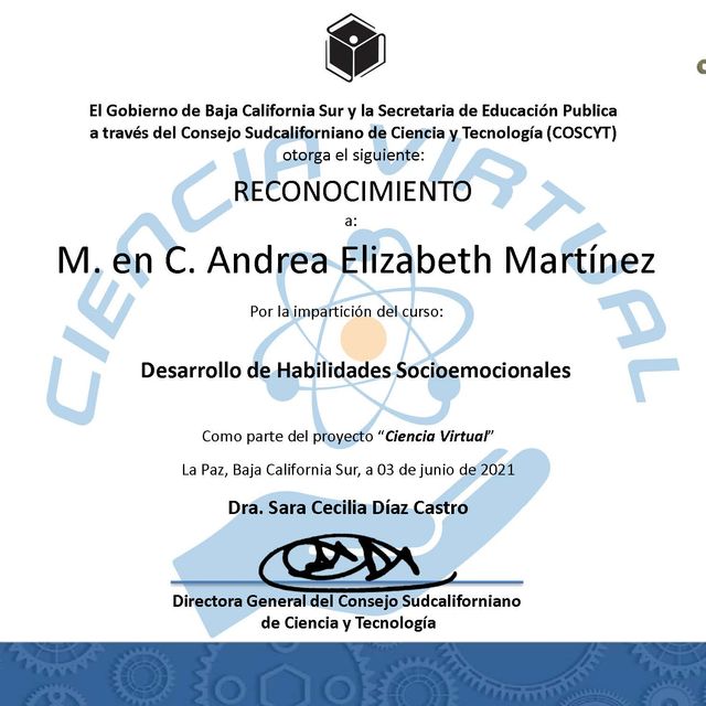 Ampliar imagen: certificate 41