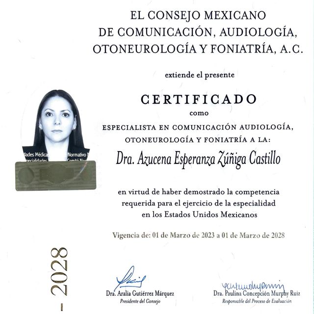 Ampliar imagen: certificate 5