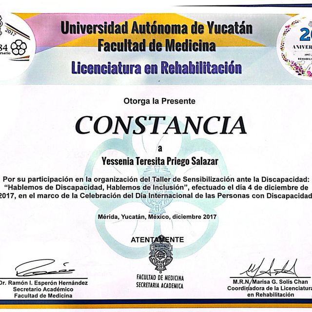 Ampliar imagen: certificate 4
