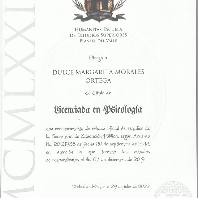 Ampliar imagen: certificate 2