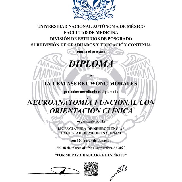 Ampliar imagen: certificate 2