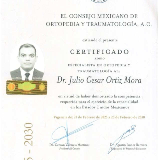 Ampliar imagen: certificate 3