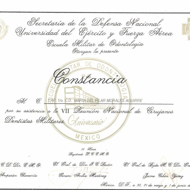 Ampliar imagen: certificate 8