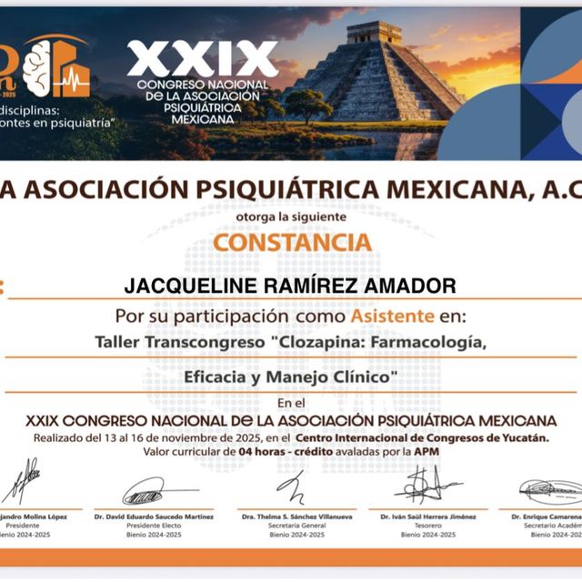 Ampliar imagen: certificate 3