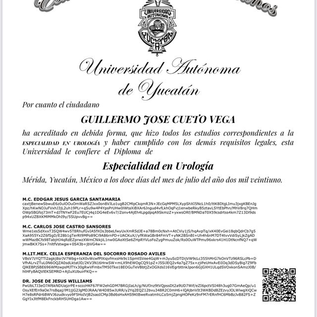 Ampliar imagen: certificate 2