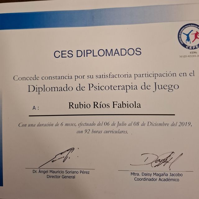 Ampliar imagen: certificate 3