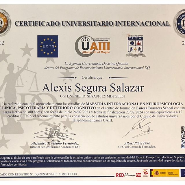 Ampliar imagen: certificate 5