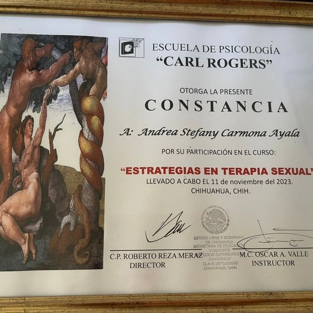 Ampliar imagen: certificate 5