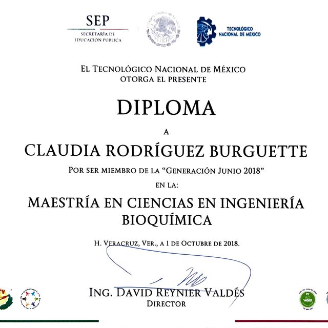 Ampliar imagen: certificate 4