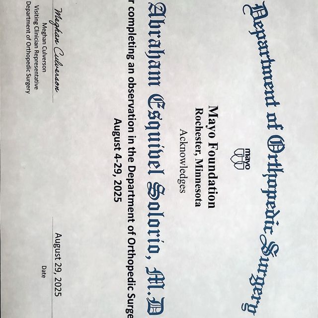 Ampliar imagen: certificate 5