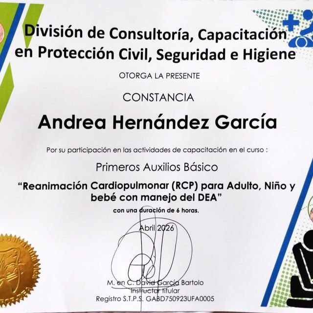 Ampliar imagen: certificate 3