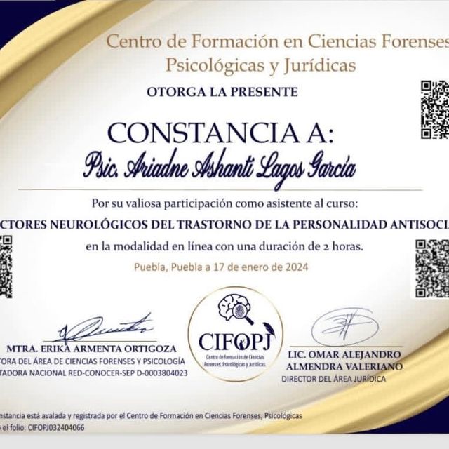 Ampliar imagen: certificate 8