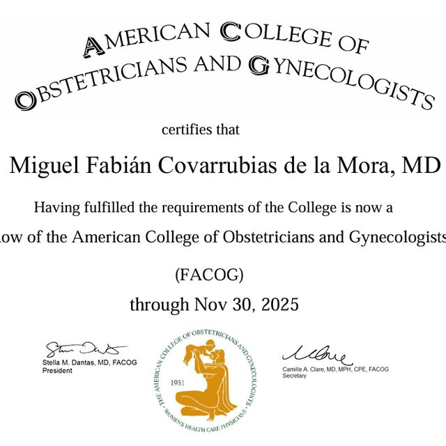 Ampliar imagen: certificate 3