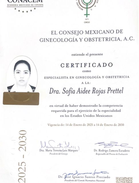 Ampliar imagen: certificate 1