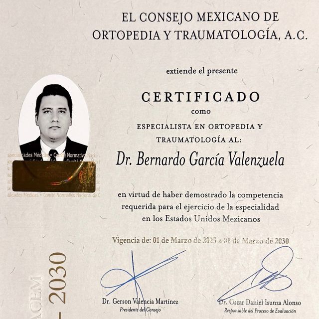 Ampliar imagen: certificate 1