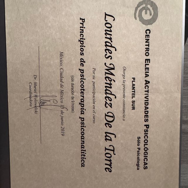 Ampliar imagen: certificate 2