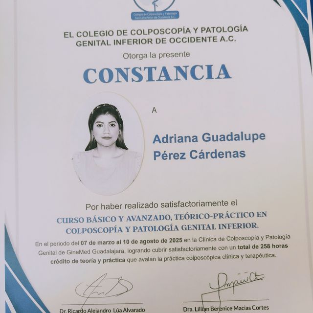 Ampliar imagen: certificate 3
