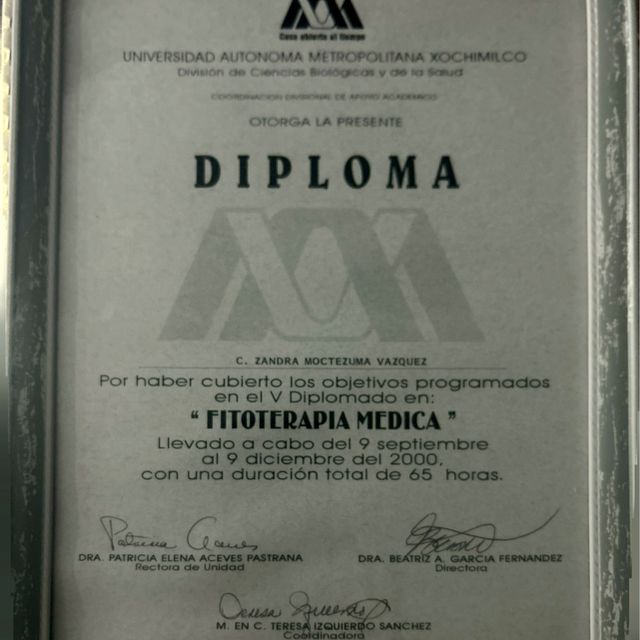 Ampliar imagen: certificate 15