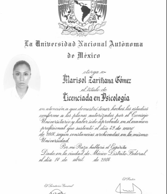 Ampliar imagen: certificate 1