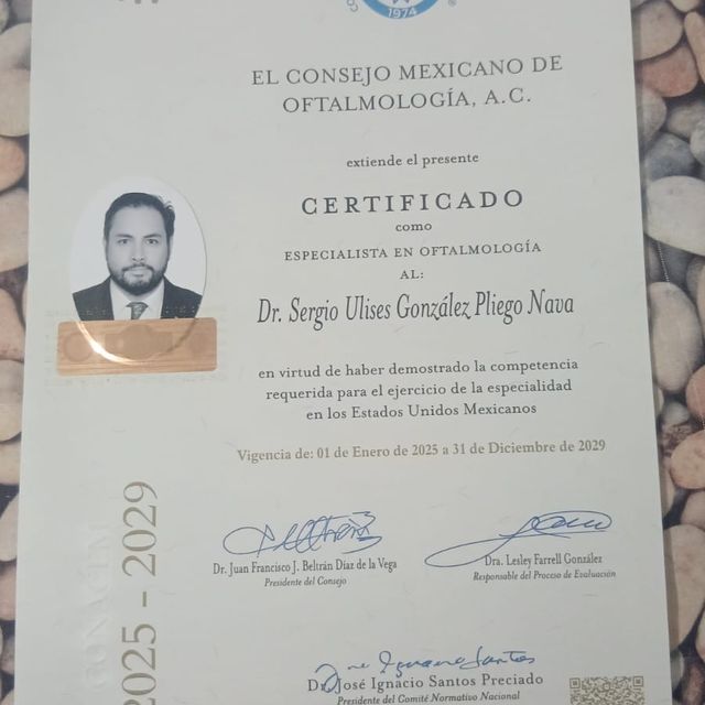 Ampliar imagen: certificate 1
