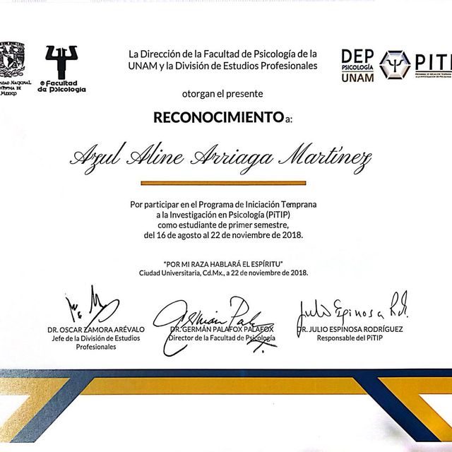 Ampliar imagen: certificate 14