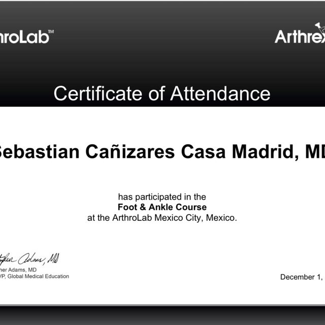 Ampliar imagen: certificate 5