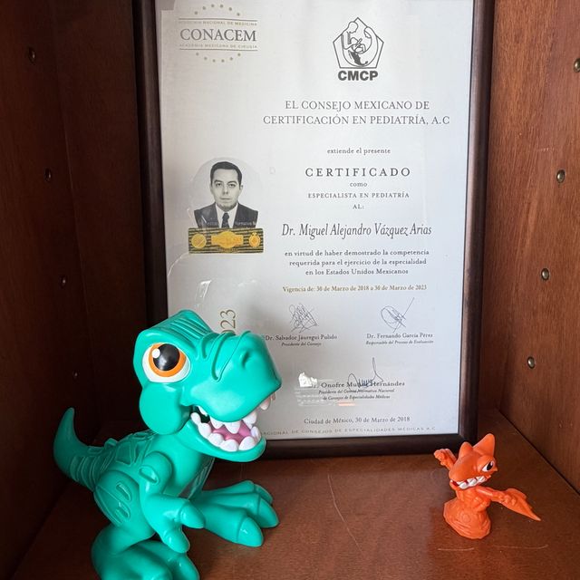 Ampliar imagen: certificate 5