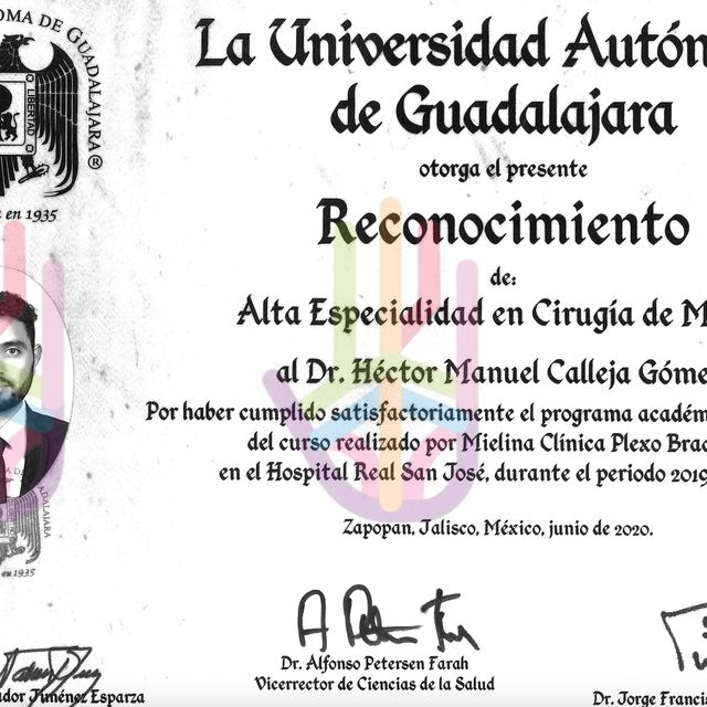 Ampliar imagen: certificate 3