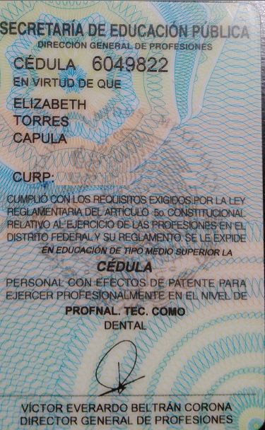 Ampliar imagen: certificate 4