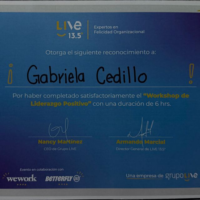 Ampliar imagen: certificate 5