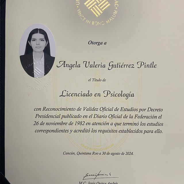 Ampliar imagen: certificate 1