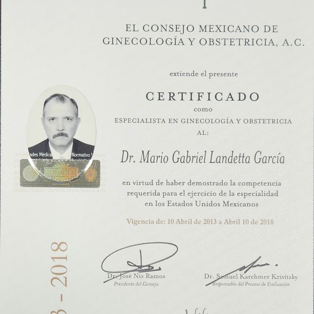 Ampliar imagen: certificate 25