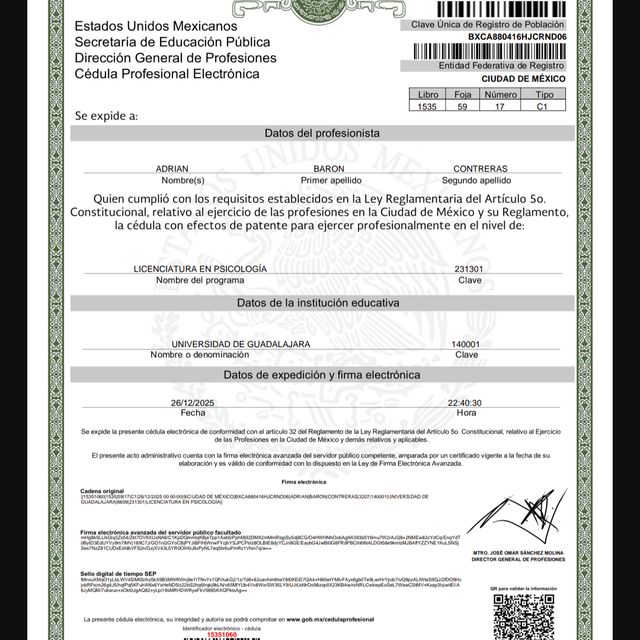 Ampliar imagen: certificate 3