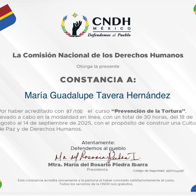 Ampliar imagen: certificate 110