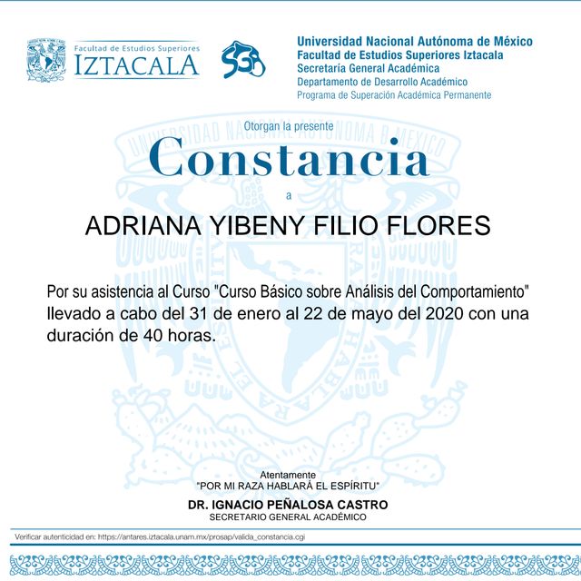 Ampliar imagen: certificate 9
