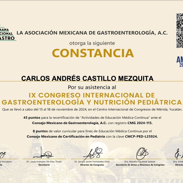 Ampliar imagen: certificate 6