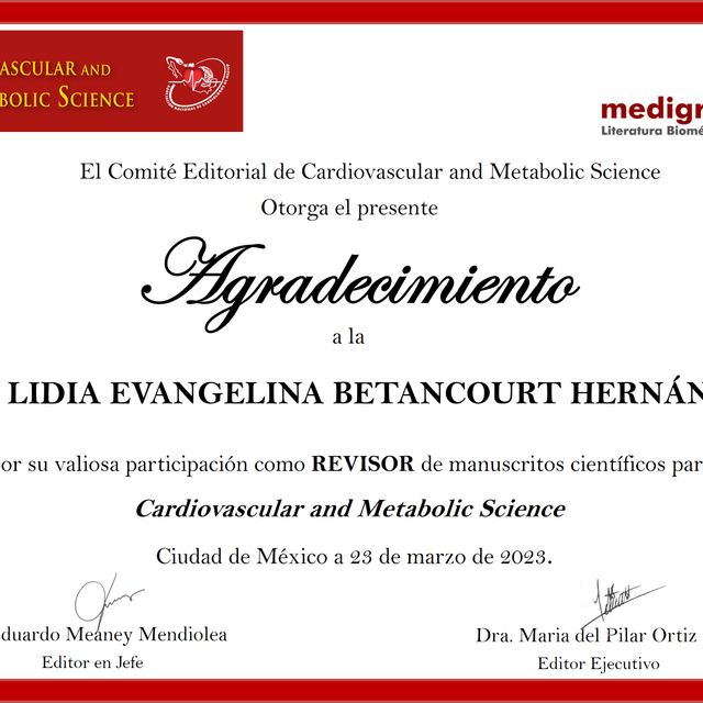Ampliar imagen: certificate 3