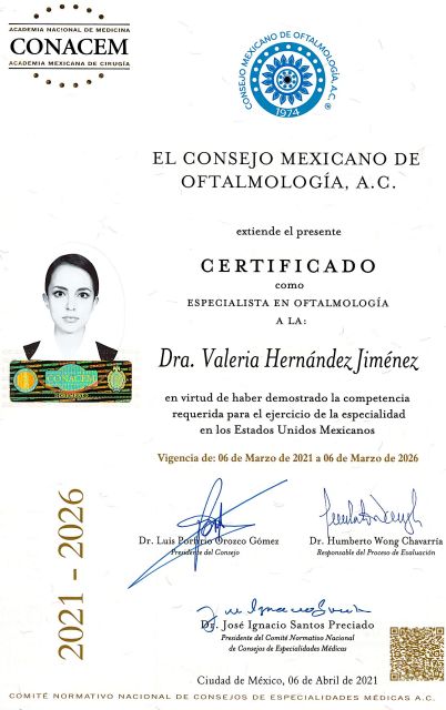 Ampliar imagen: certificate 5