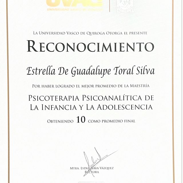 Ampliar imagen: certificate 2