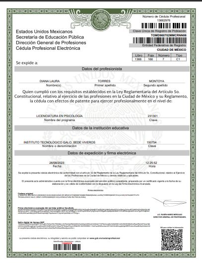 Ampliar imagen: certificate 1