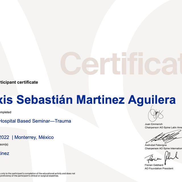 Ampliar imagen: certificate 3