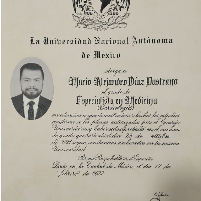 Ampliar imagen: certificate 1